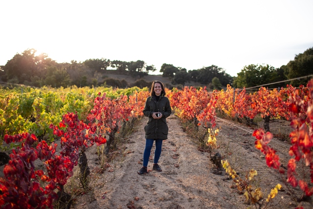 La Dolce Vigna