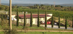 La Fralluca