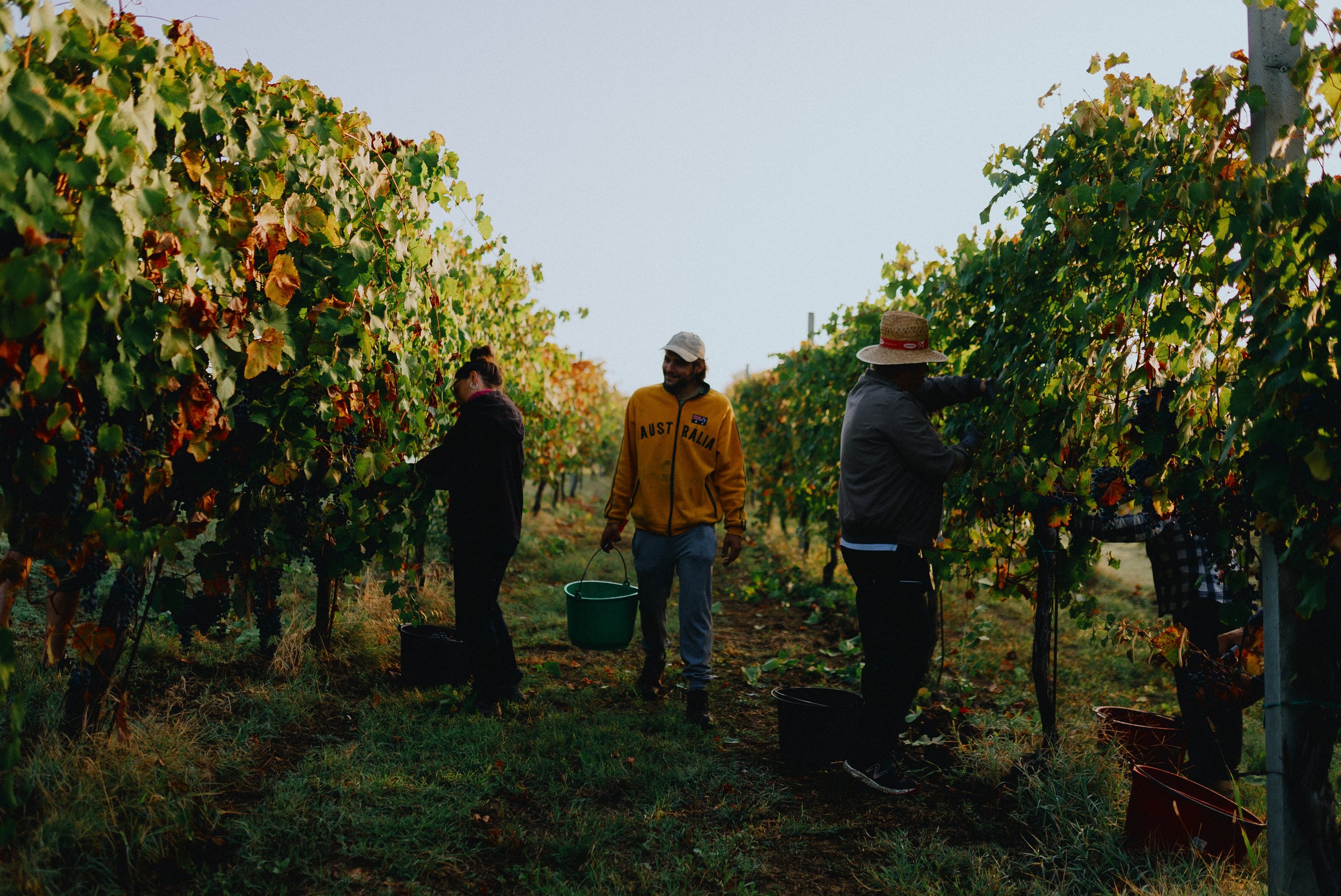 La Piana Winery