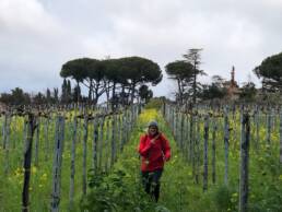 La Torretta