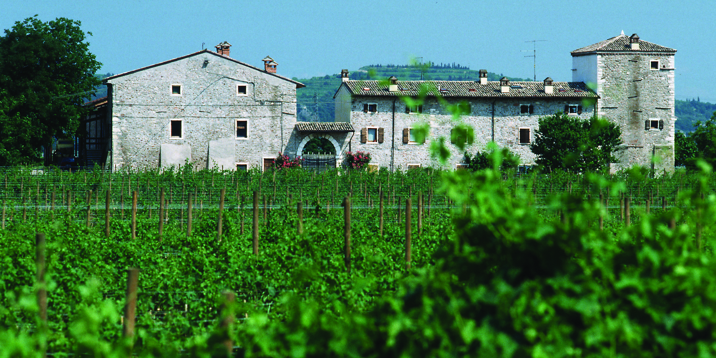 Le Fraghe