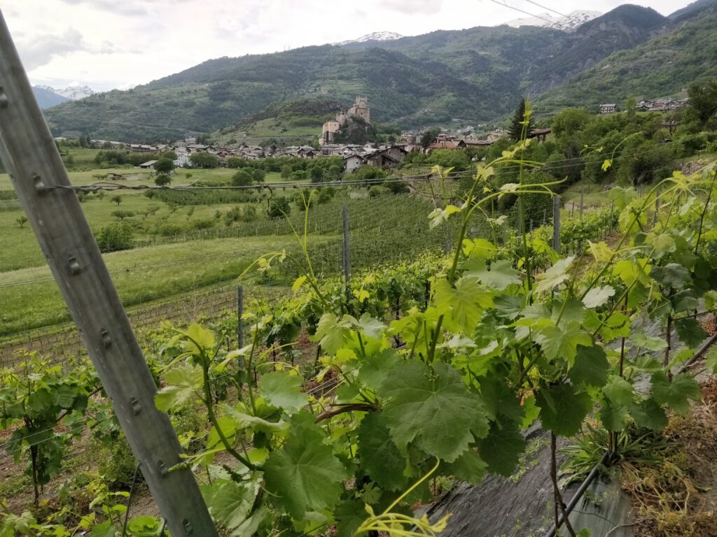 Le Grain