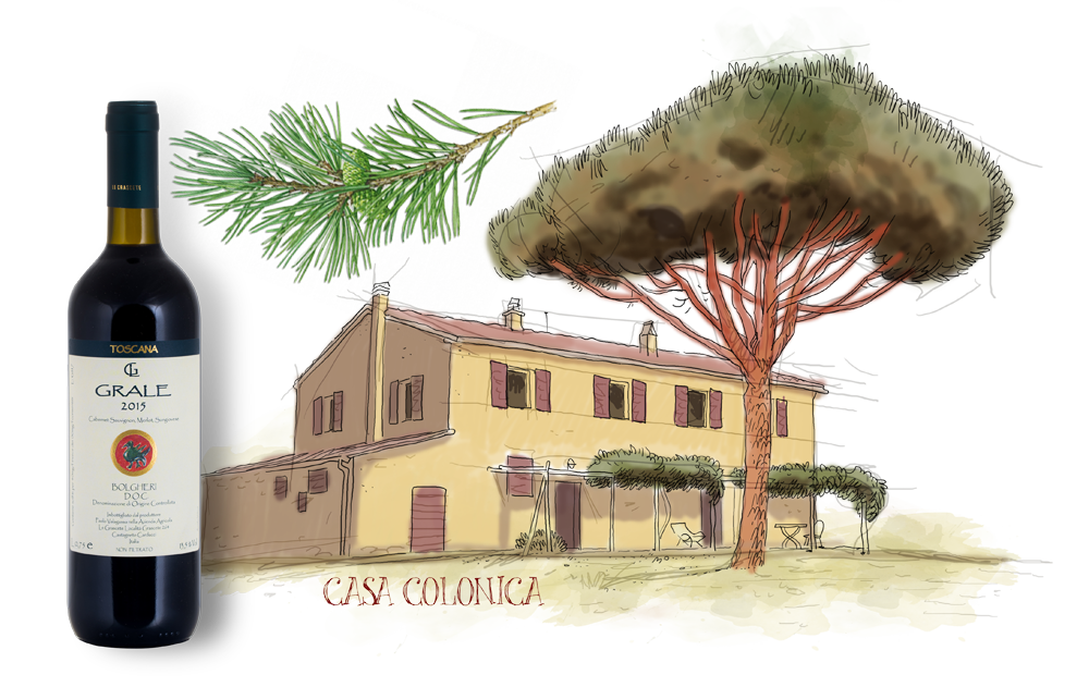 Le Grascete - Bolgheri