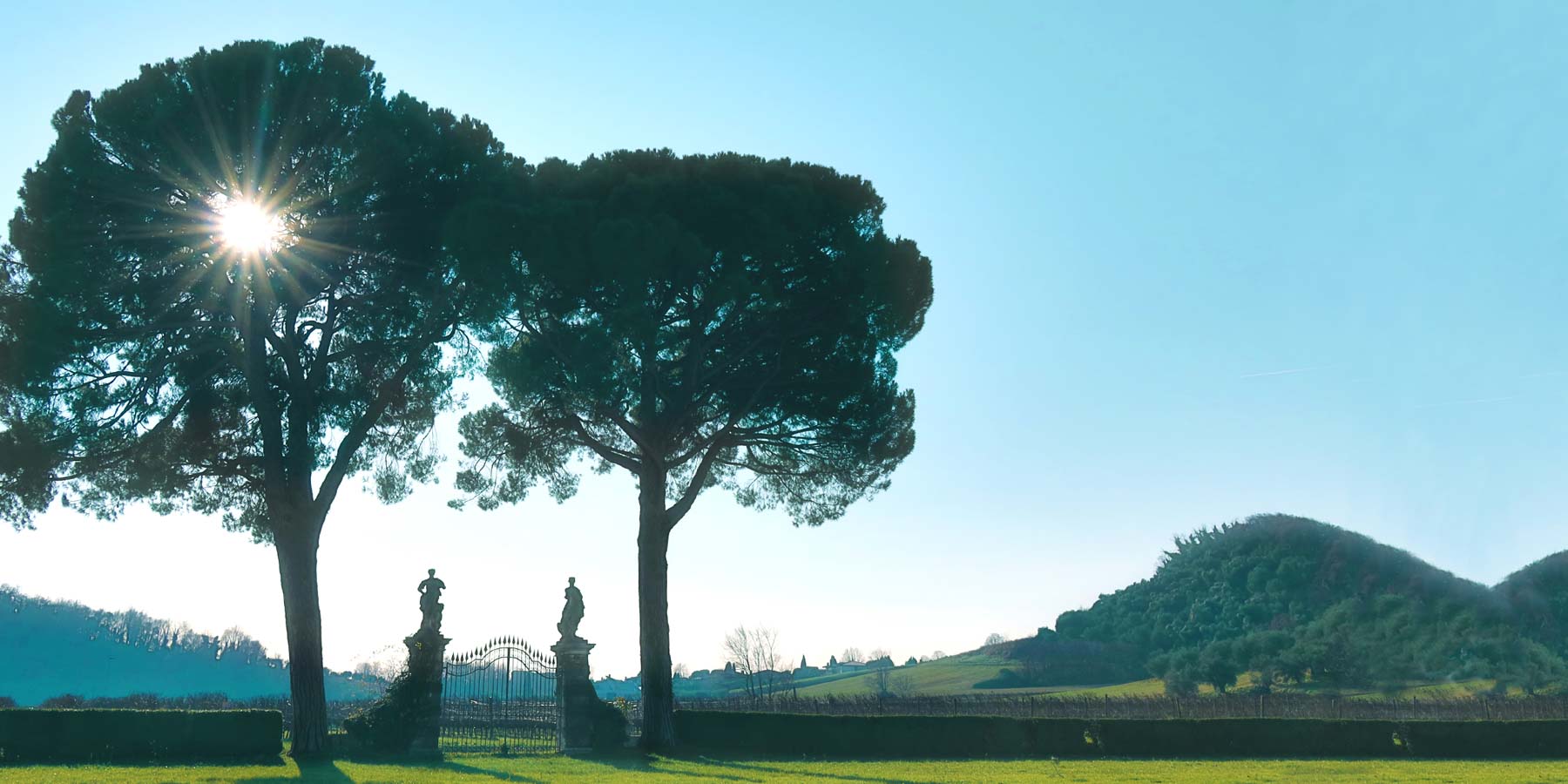 Le Vie Angarano