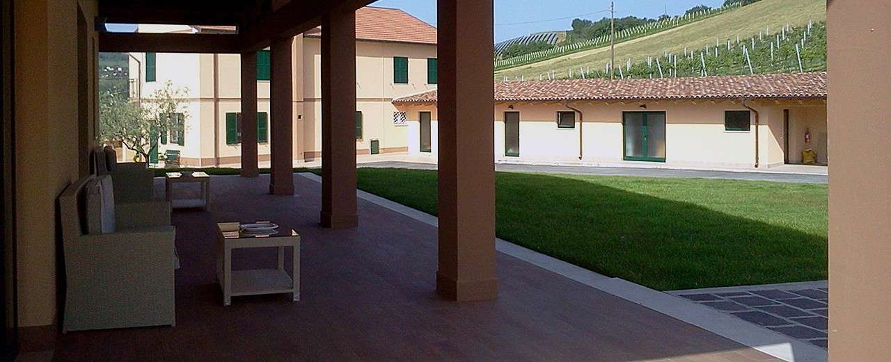 Le vigne di Clementina Fabi