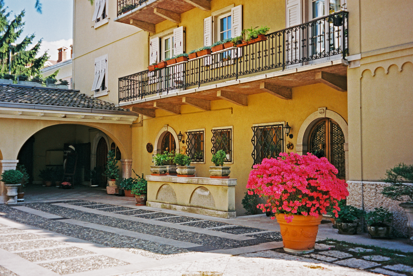 Longariva