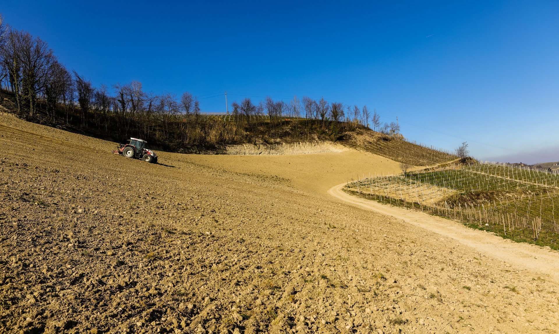 MARCHISIO FAMILY ORGANIC ESTATE SSA "VINI BUONI DA BIO"