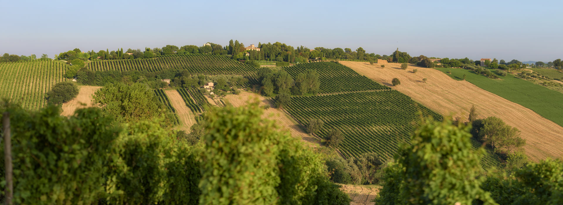 Marotti Campi