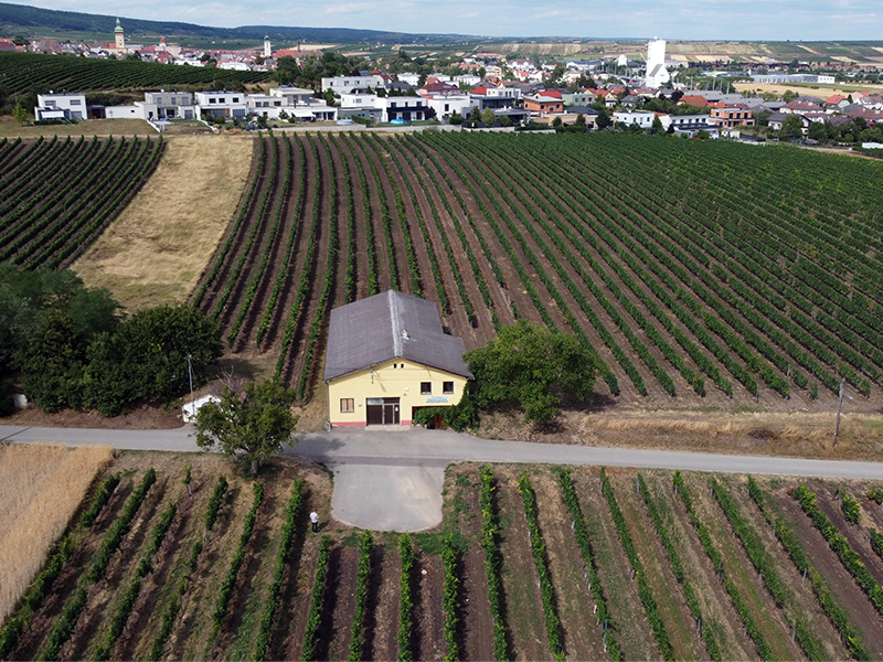 Weingut Gebrüder Pöcher