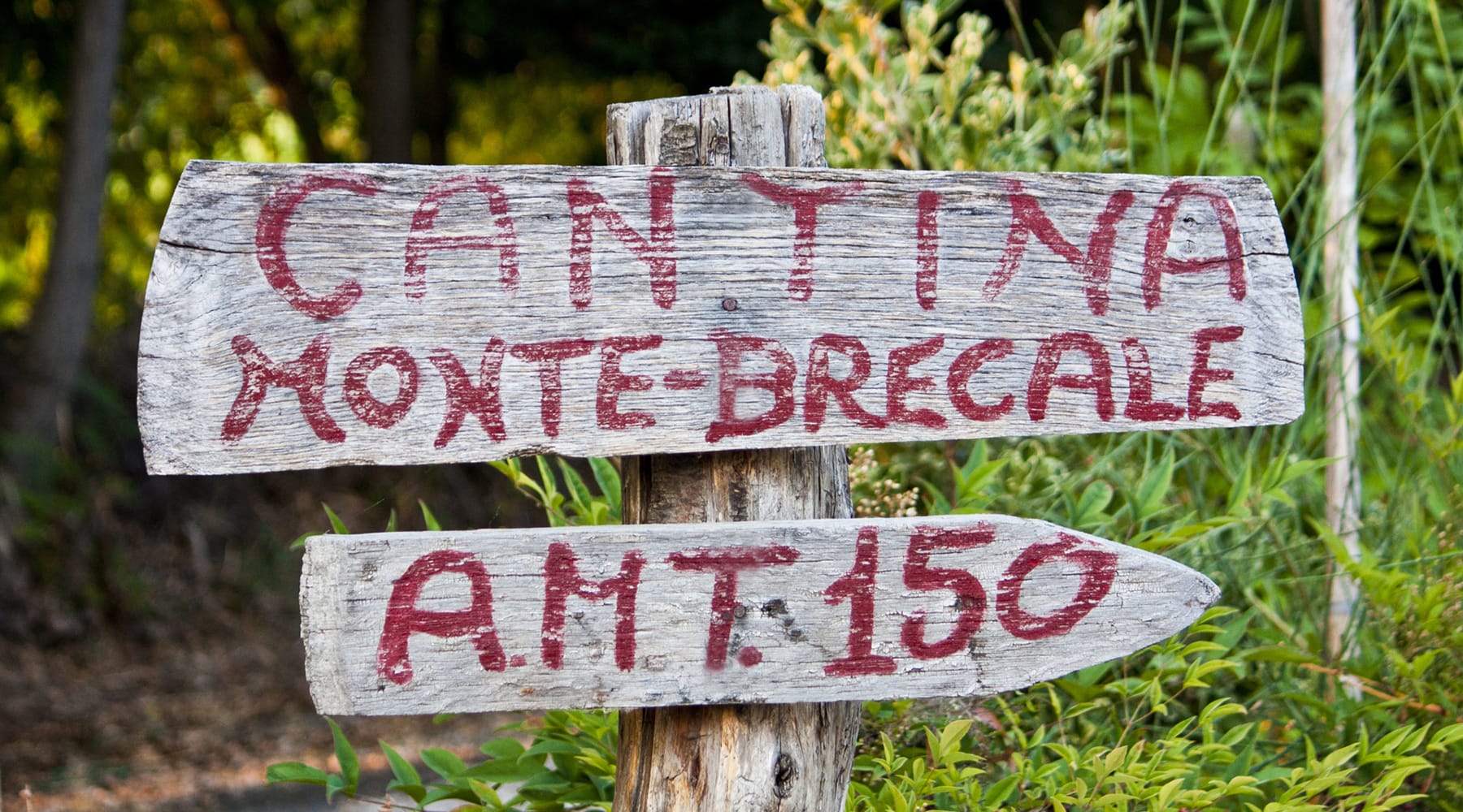 Monte Brècale