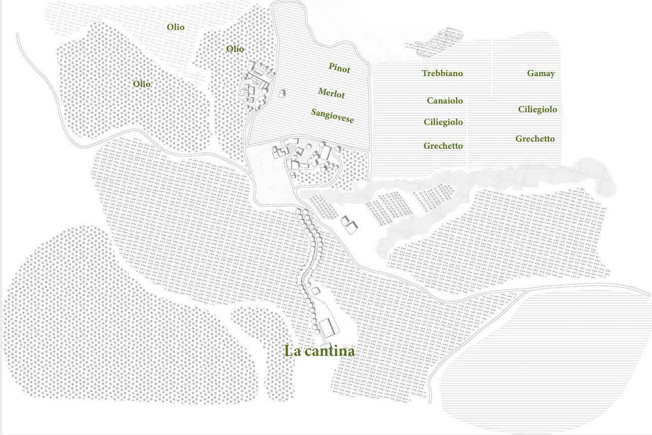 Montemelino