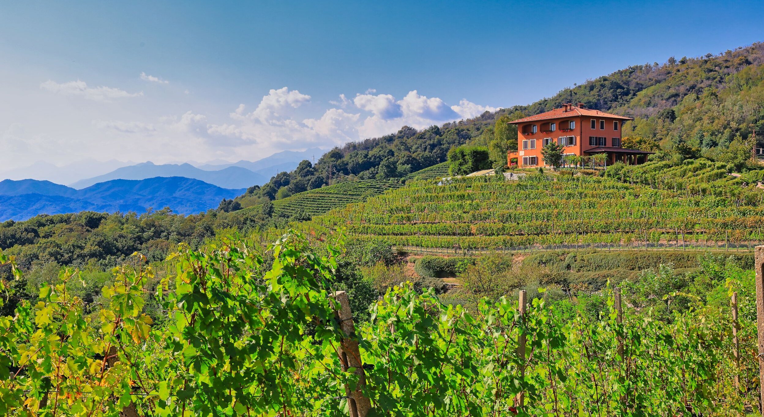 Podere ai Valloni