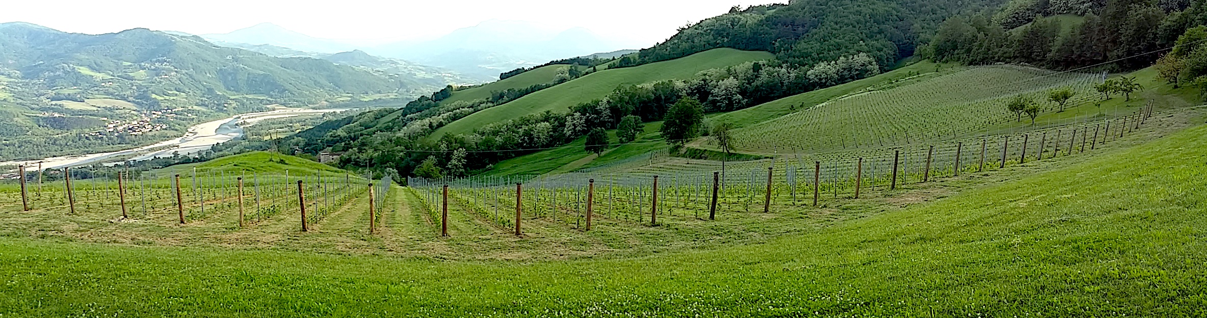 Podere Paganini