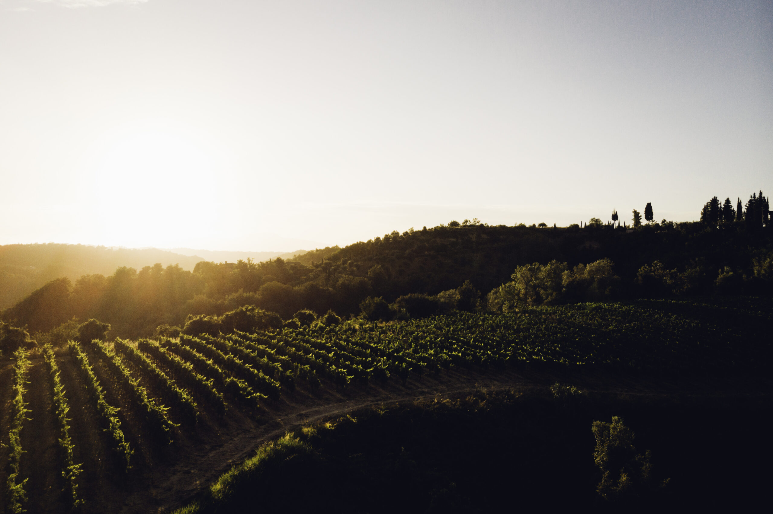 Podere Pellicciano