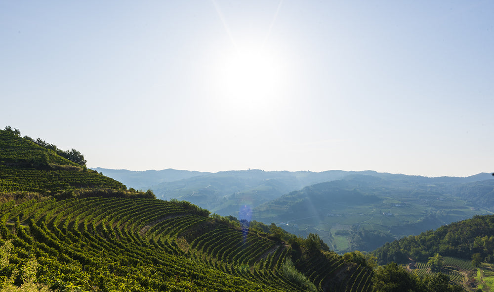 Poderi Roccanera