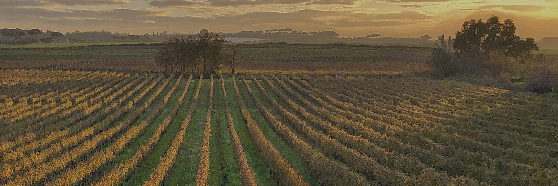Riserva della Cascina