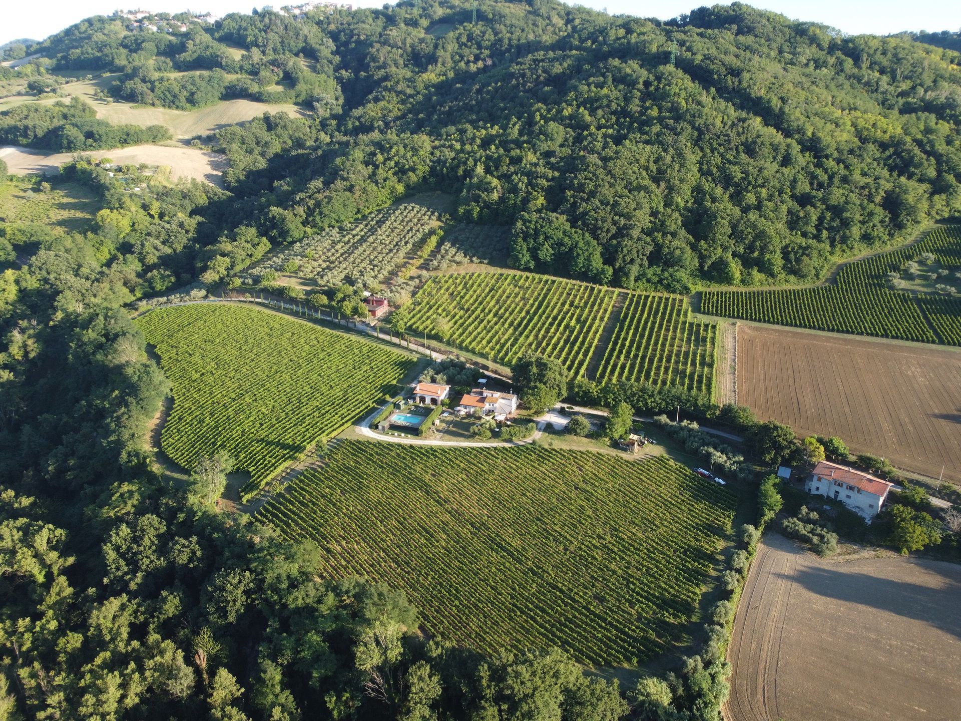 Tenuta Carbognano