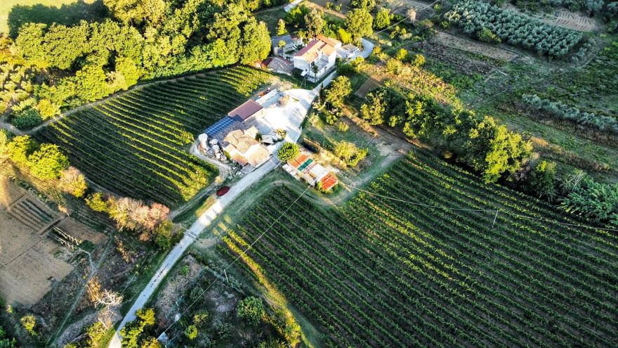Tenuta dell'Ugolino
