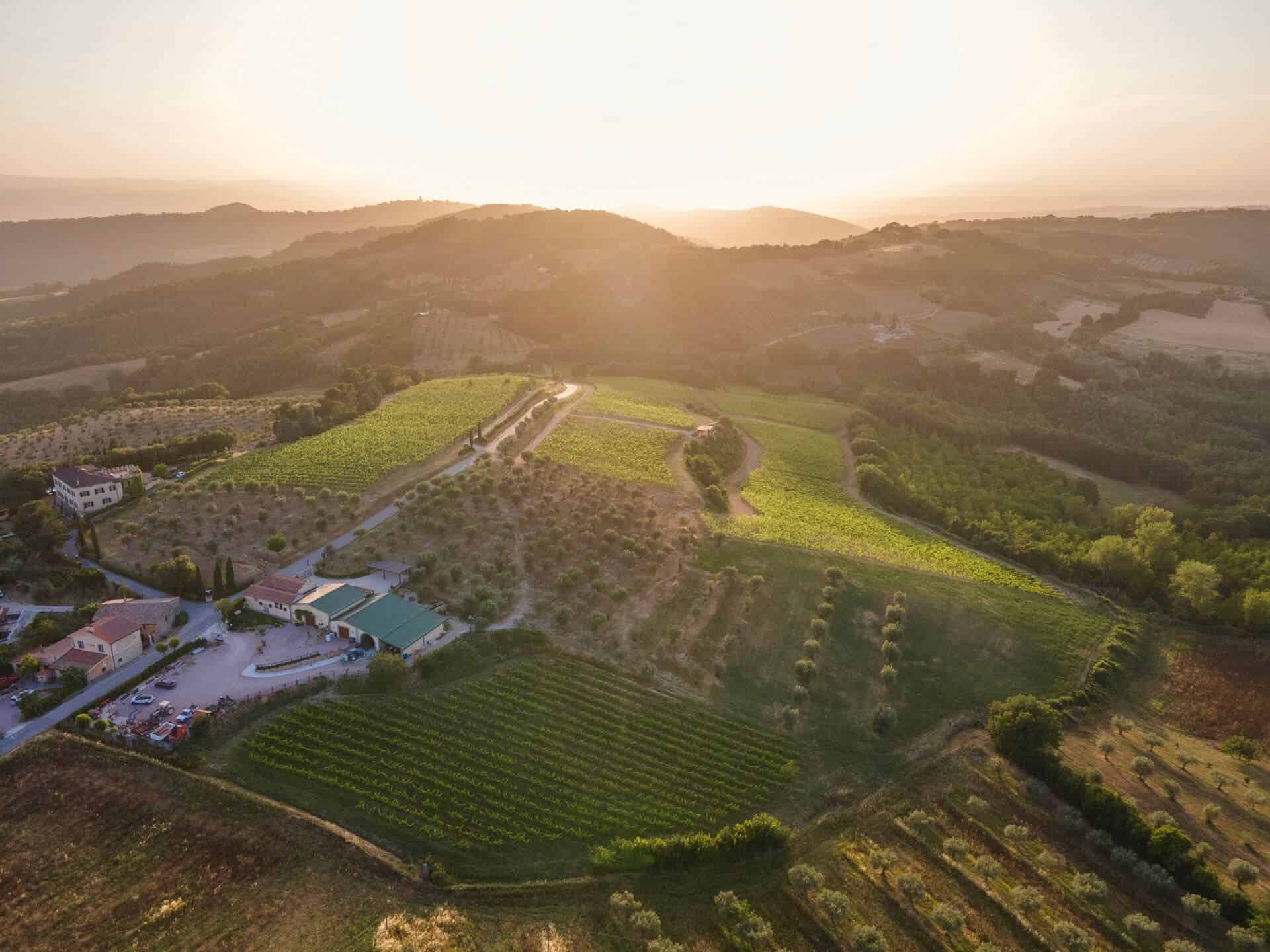 Tenuta di Saragano