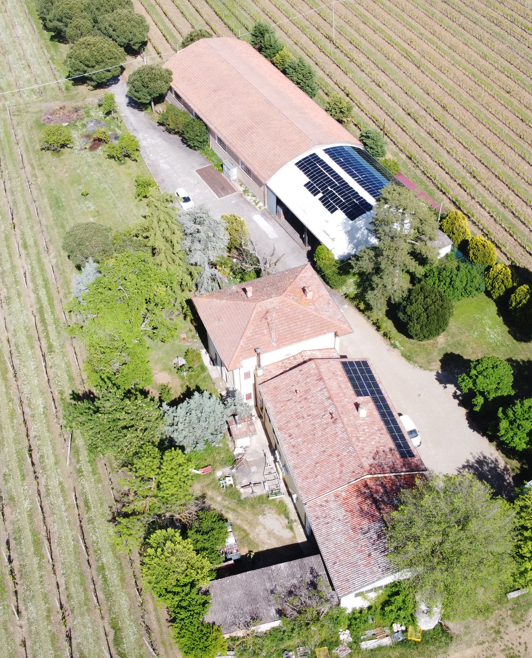 Tenuta Franzona