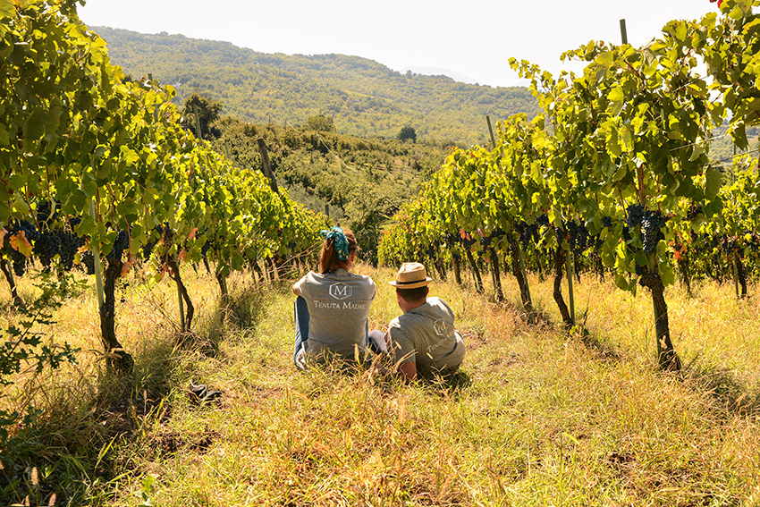 Tenuta Madre