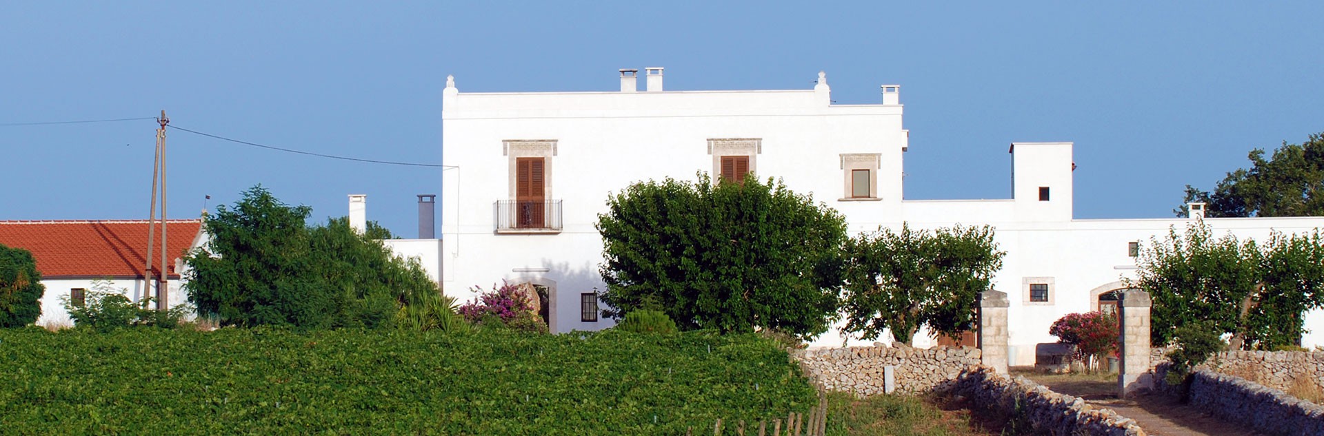 Tenuta Patruno Perniola