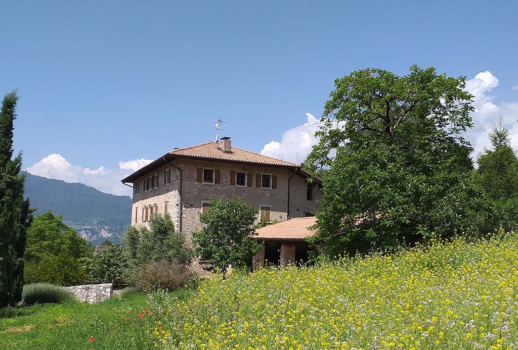 Tenuta Volpare