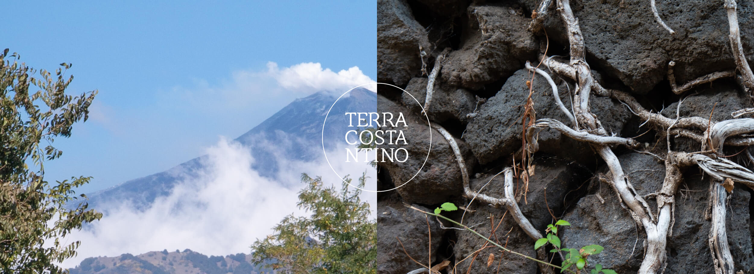 Terra Costantino