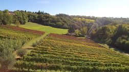 TERRAQUILIA IL METODO ANCESTRALE da Vigne in Alta Quota