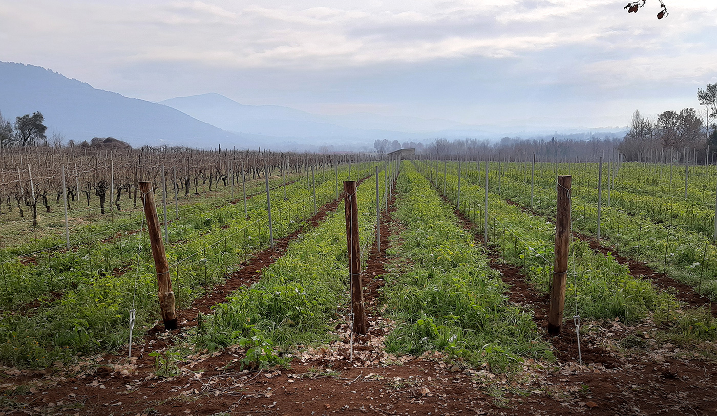 Terre Antiche
