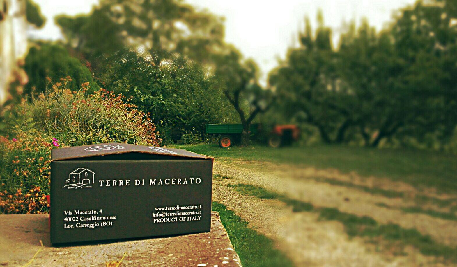 Terre di Macerato