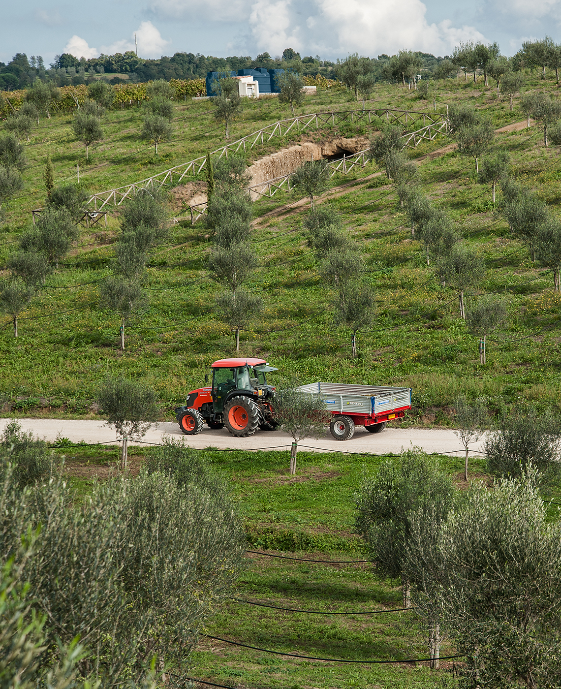 Terre di Marfisa