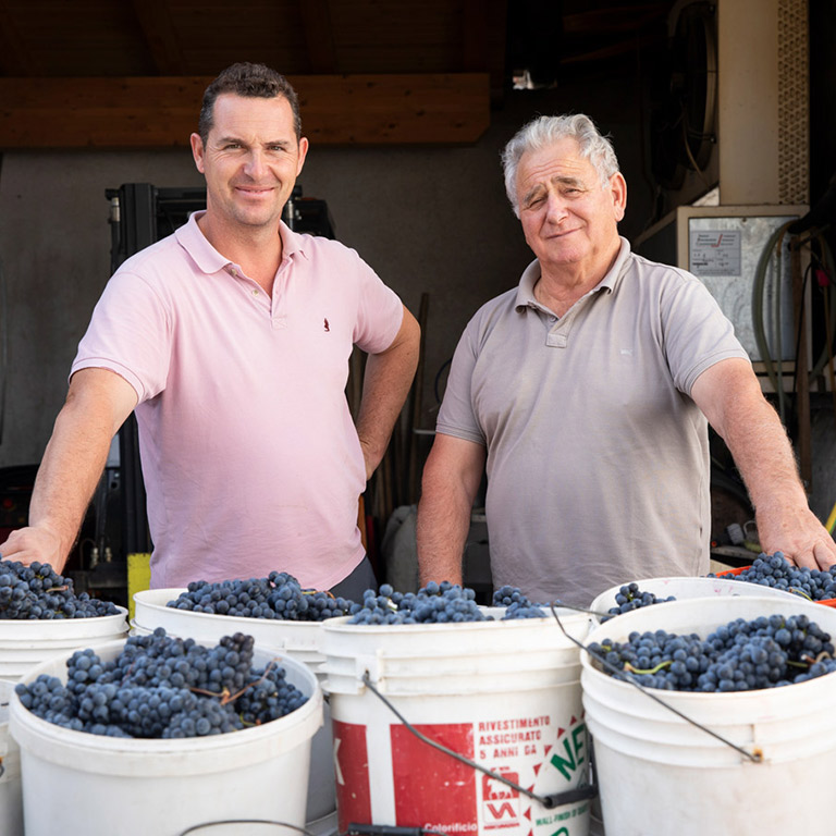 Tonutti Vini e Vigneti