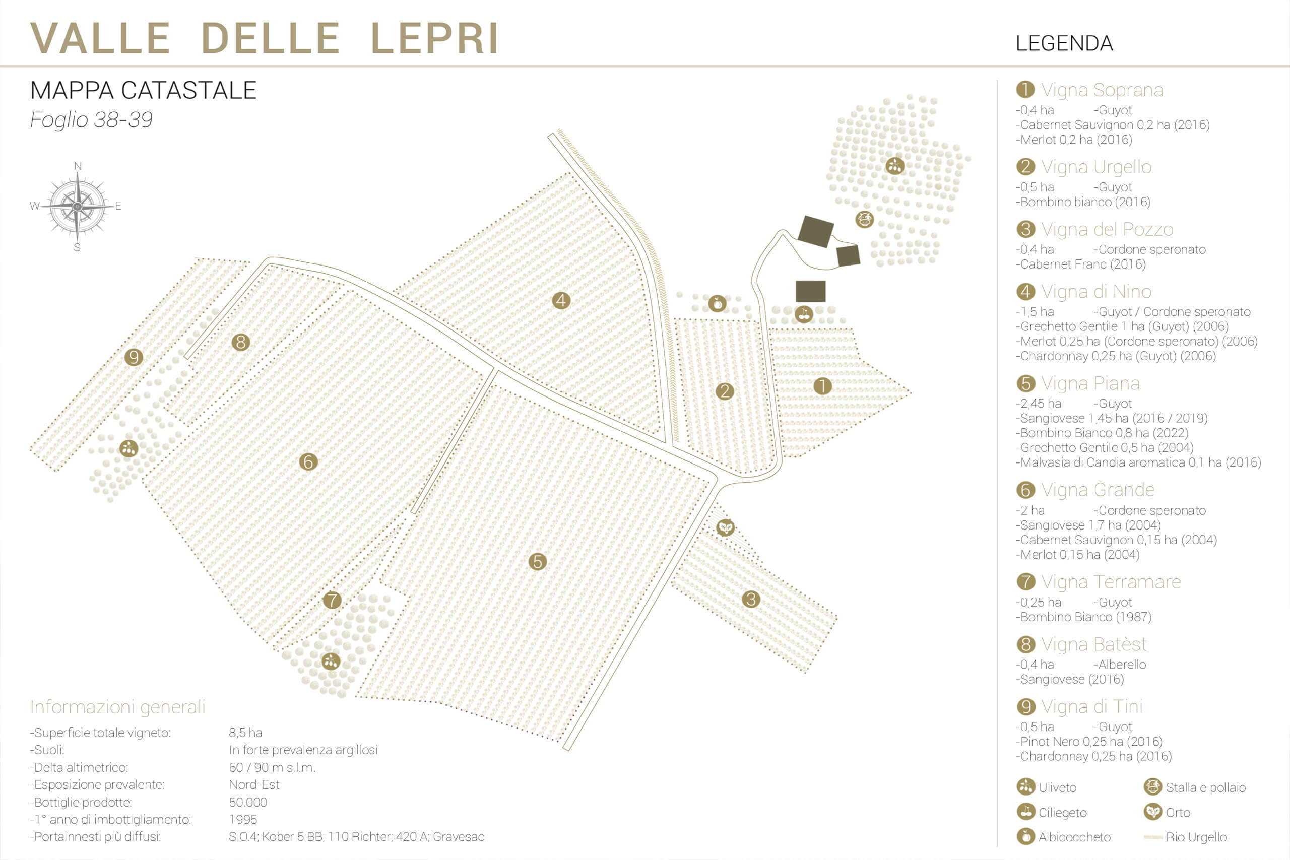 Valle delle lepri