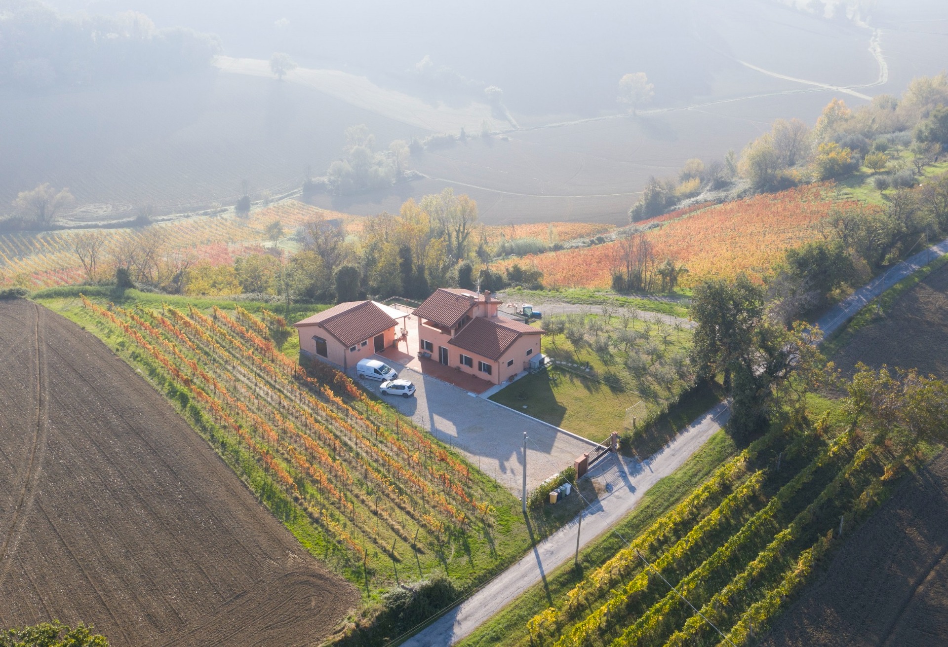 Vigna degli Estensi