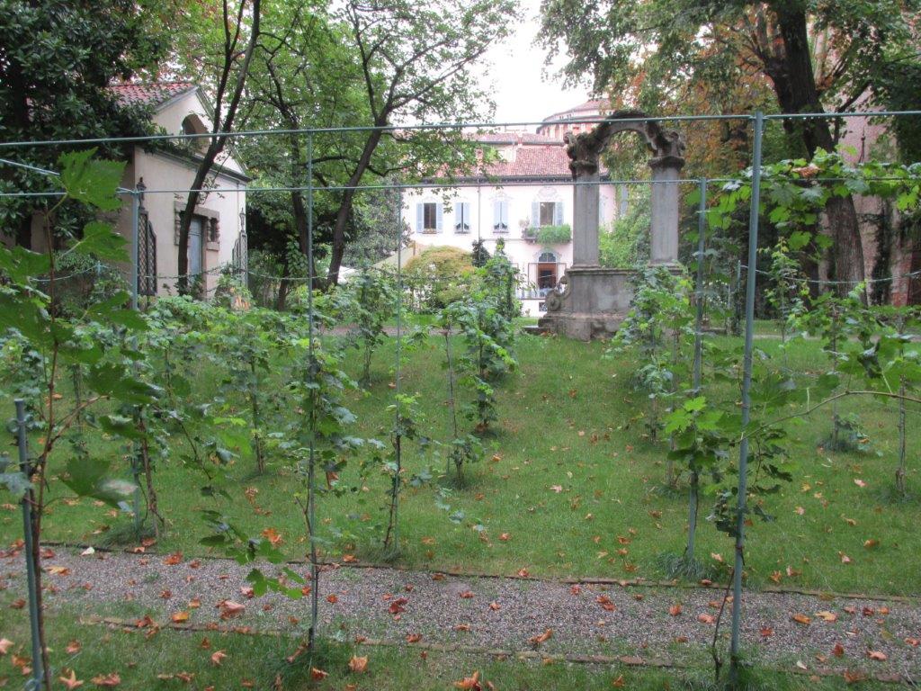 Villa Rosa