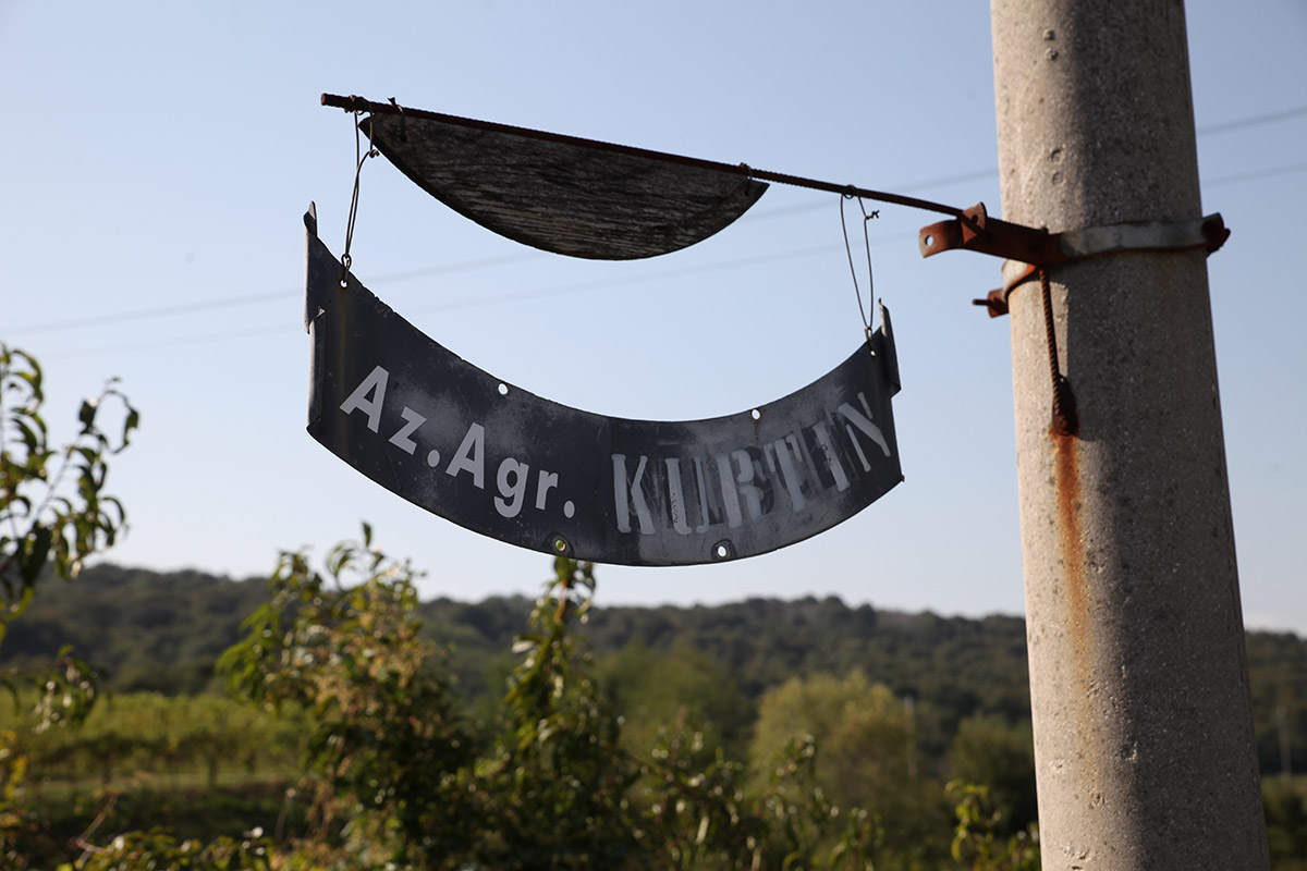 Kurtin