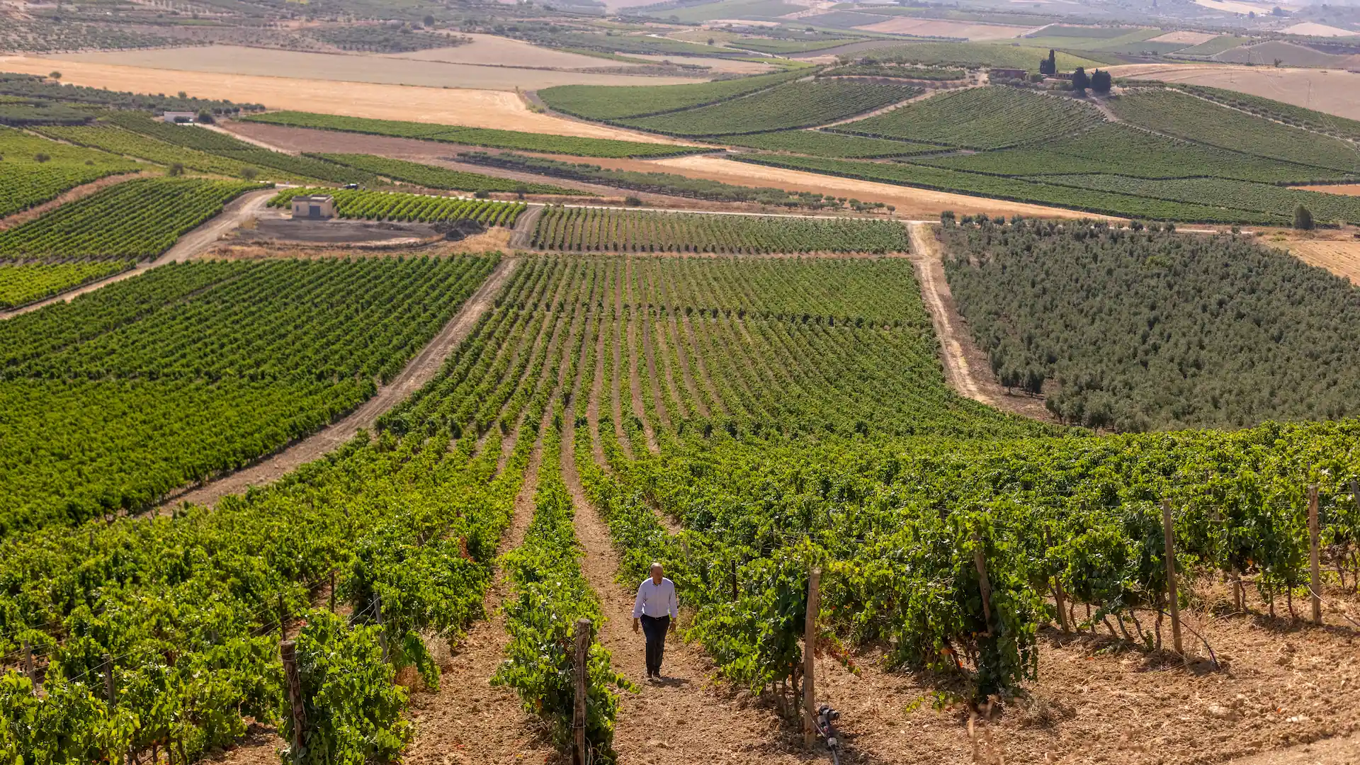 Donnafugata