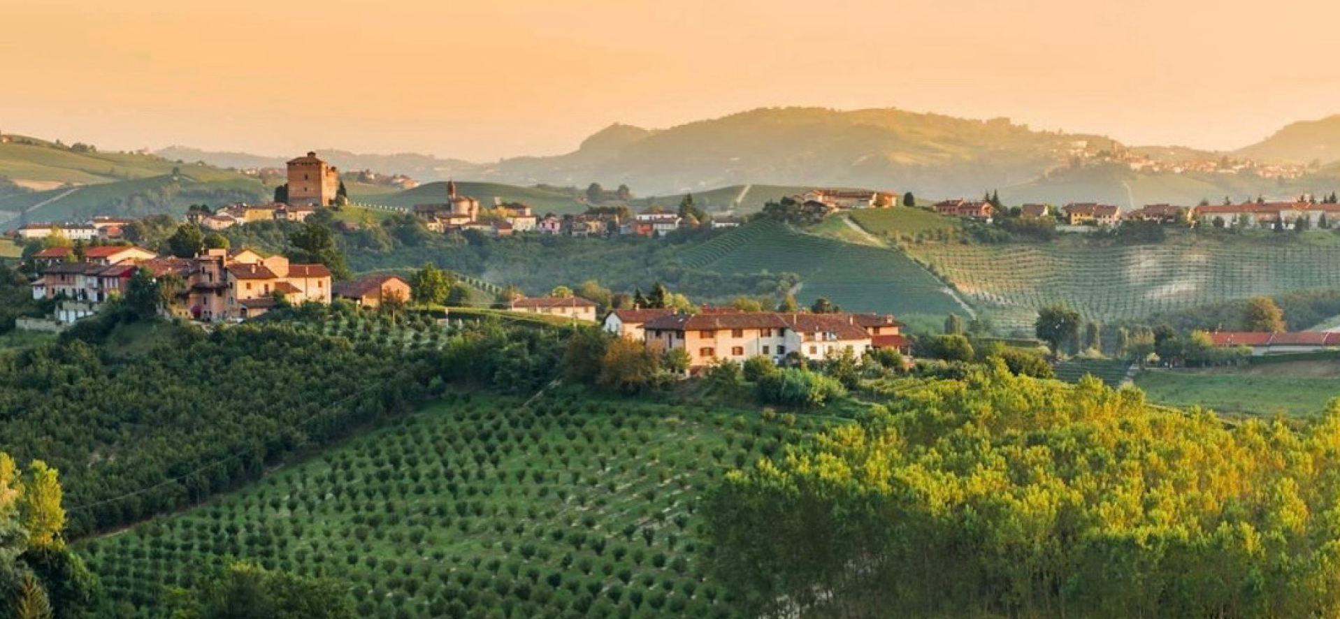 Poderi dei Bricchi Astigiani