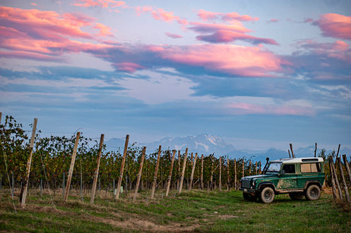Azienda Agricola Mirù