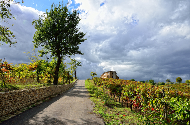 Cantine Russo