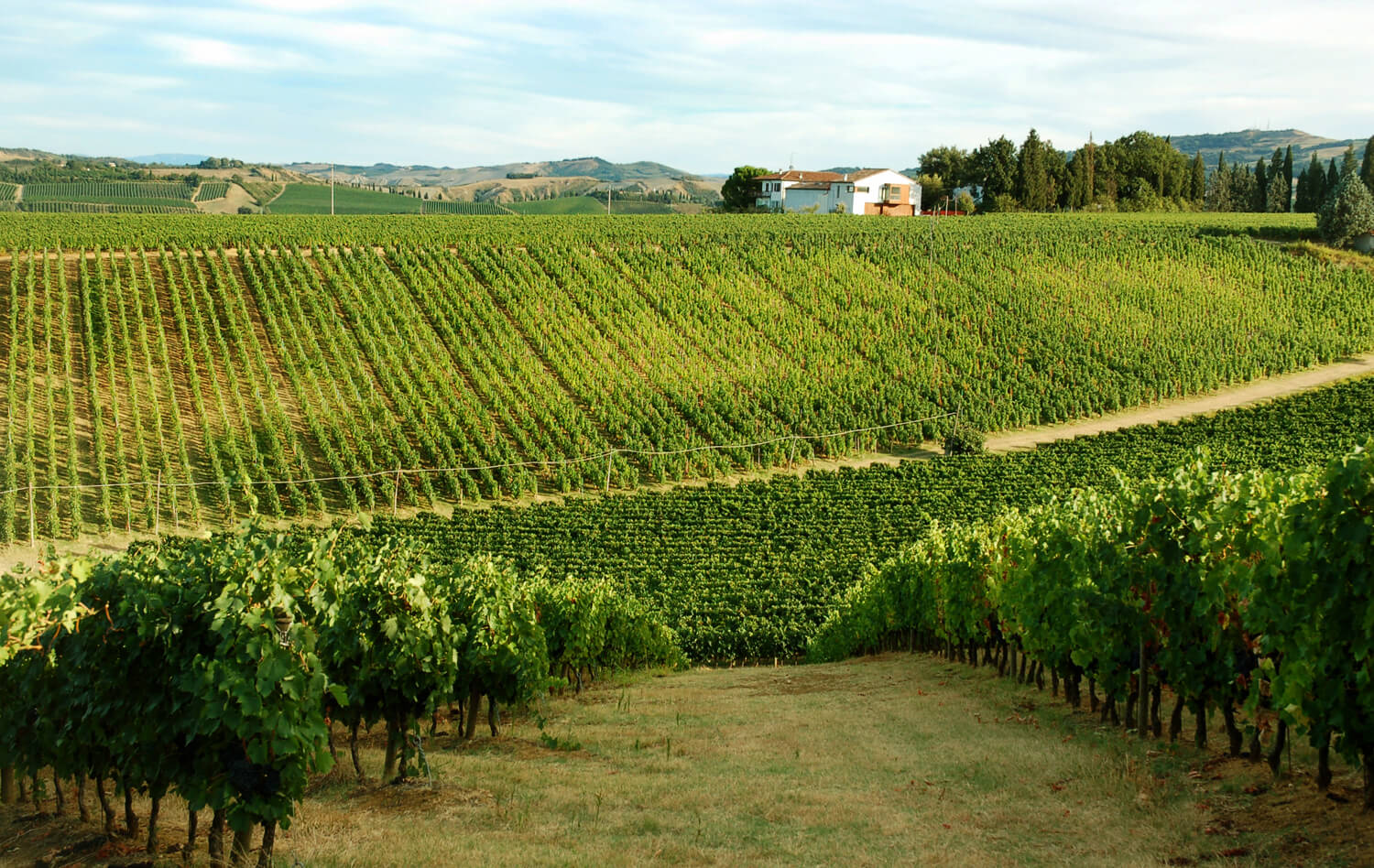 Fattoria Zerbina