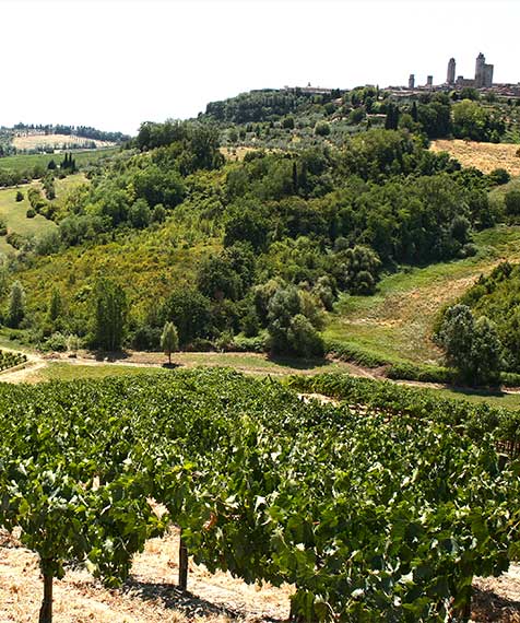 Arrigoni Pietraserena