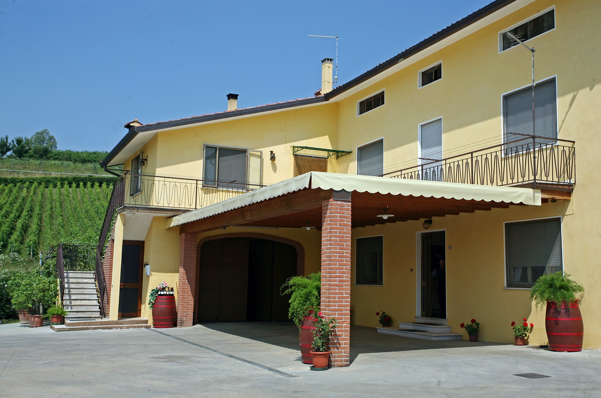 Le colline di Vitacchio