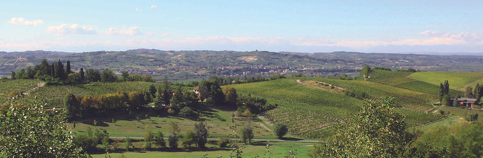 Villa Delfini