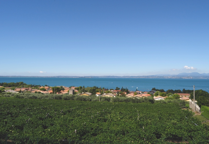 Azienda agricola Costadoro