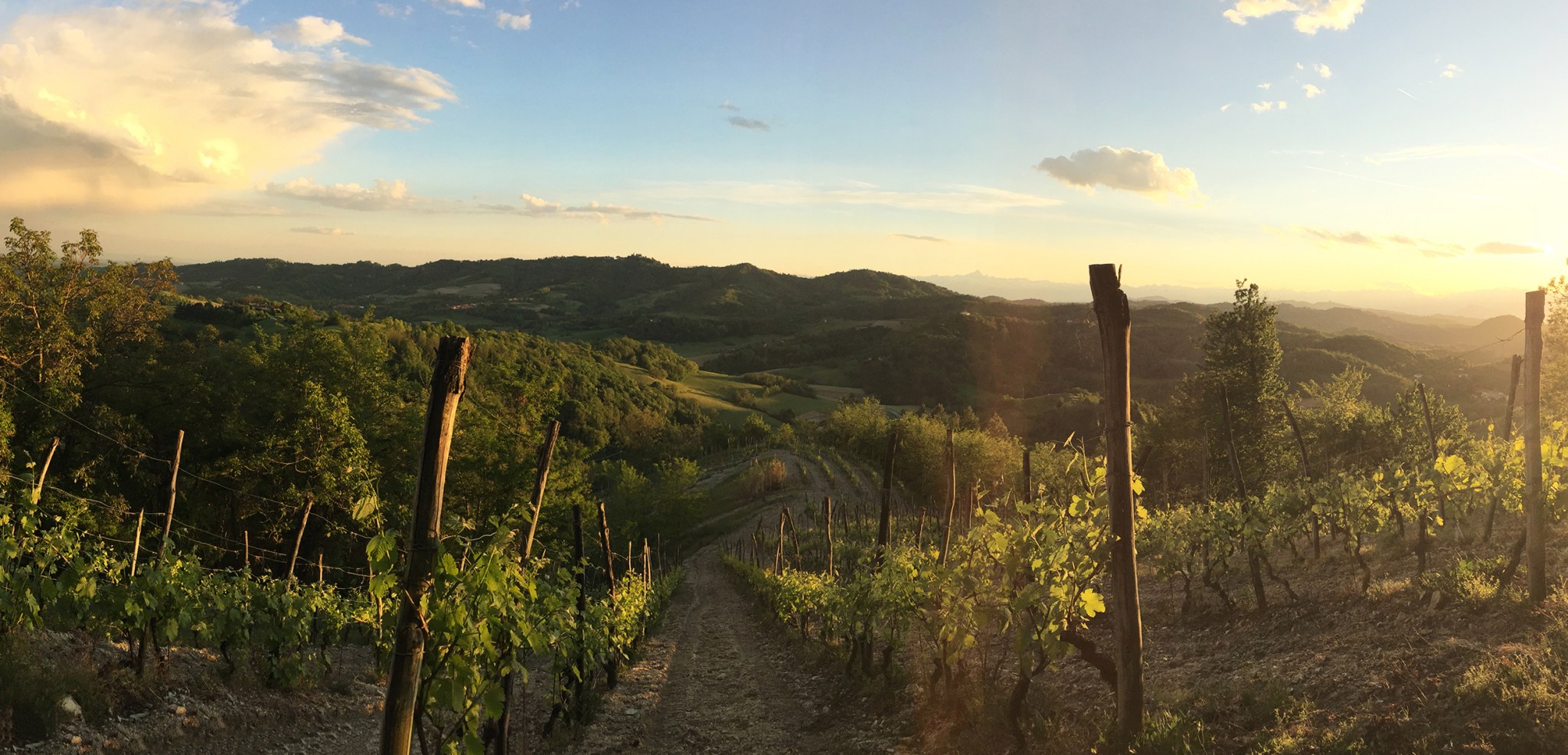 Azienda Vinicola Rocca Gabriele