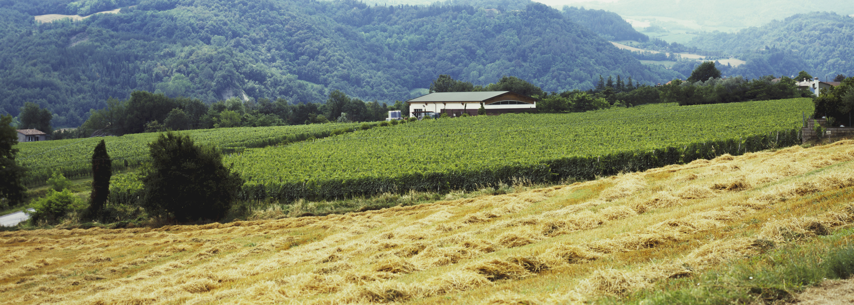 Tenuta Santa Lucia