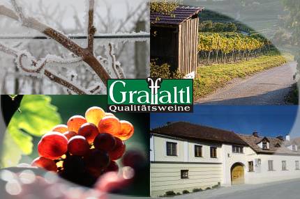 Graf-Faltl