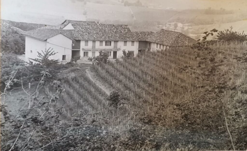 Azienda Agricola Abrigo Fratelli